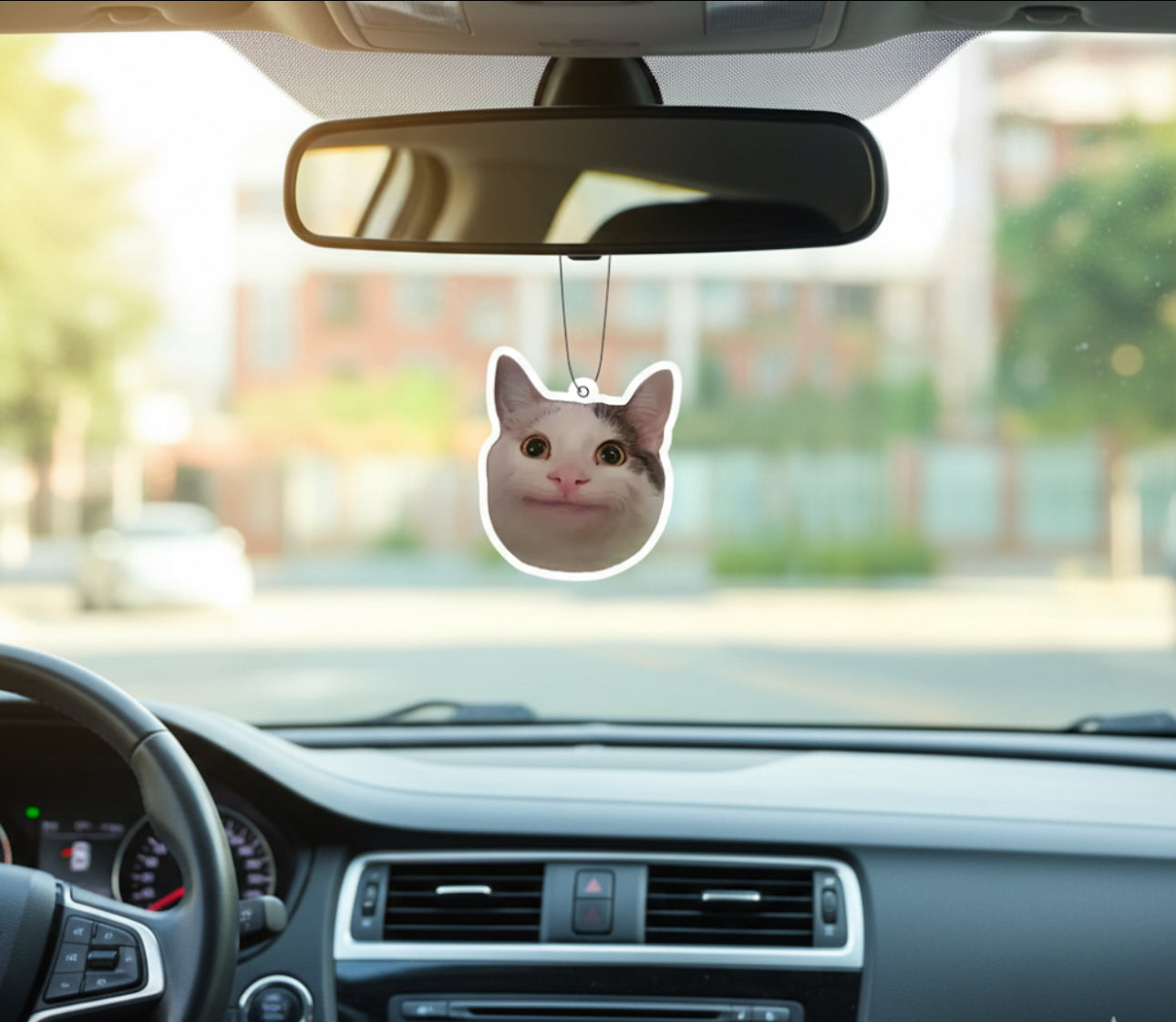 Désodorisant Chat 🐱